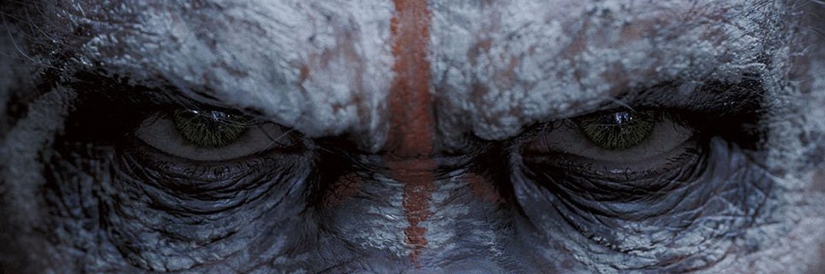 YneimanQ's profile banner image