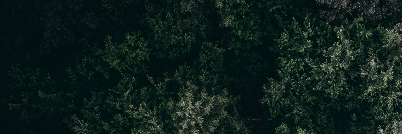 memotiov's profile banner image