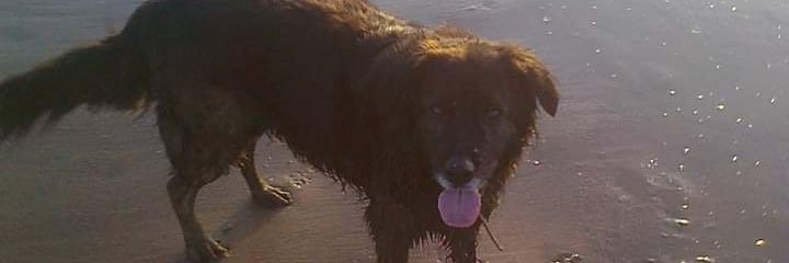 jackiemcsharry1's profile banner image