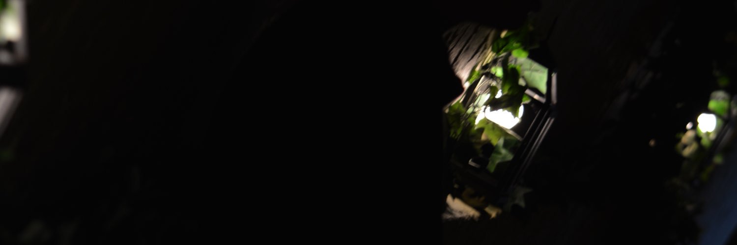 1Kouzi's profile banner image