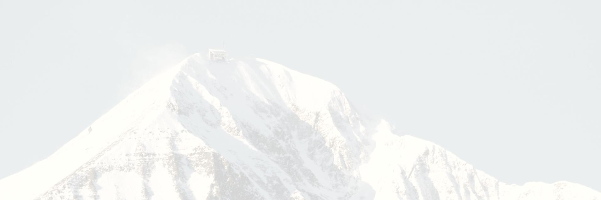 beehivebasin's profile banner image