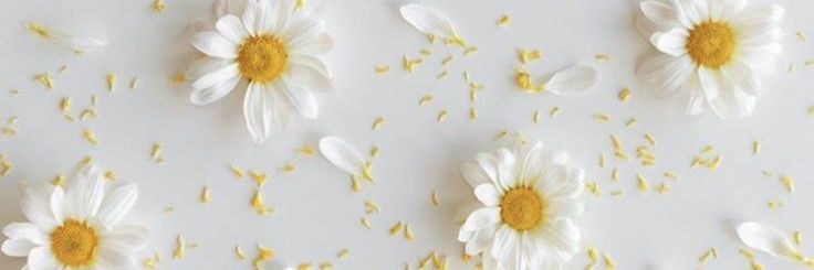 mutiarayoland_'s profile banner image