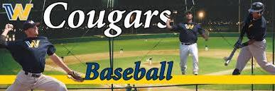 WNCC Baseball banner