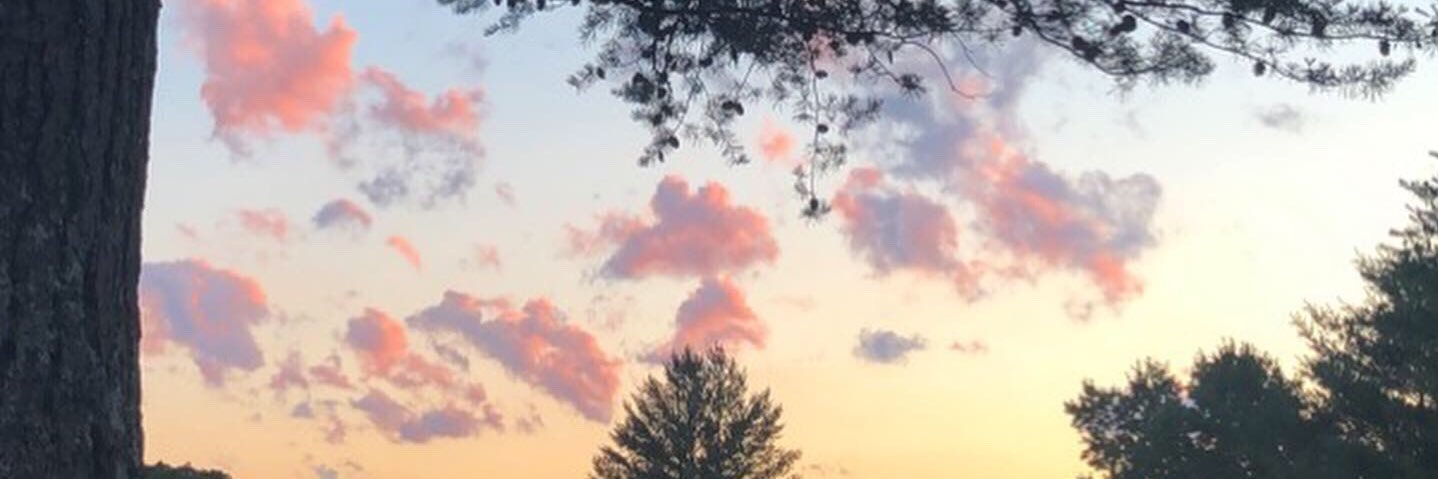 lauwalk's profile banner image