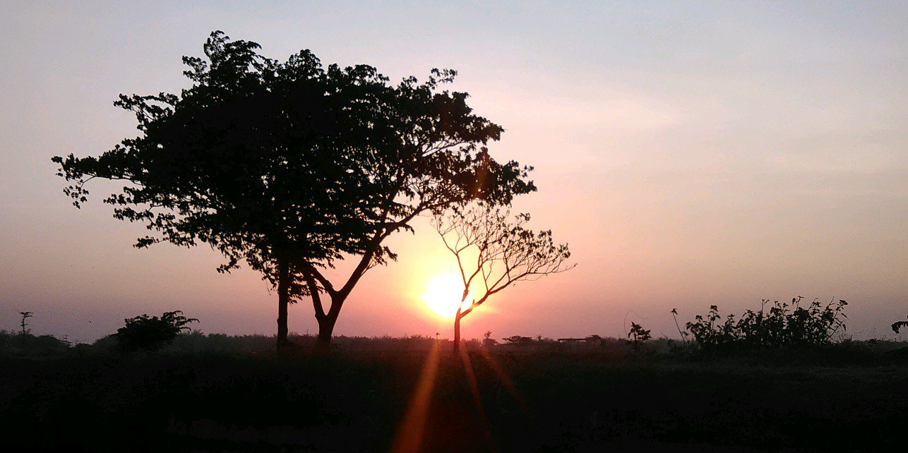 ASwidianti's profile banner image