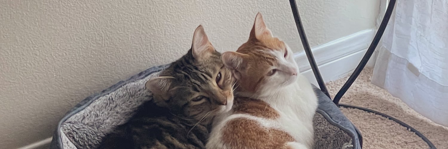svsshole's profile banner image