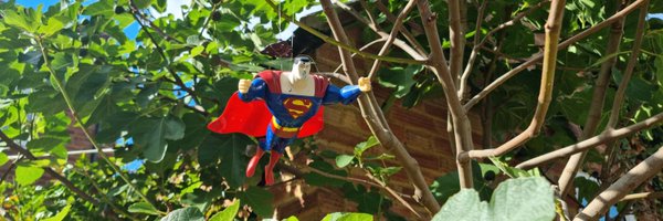 Brainiac_13 Profile Banner