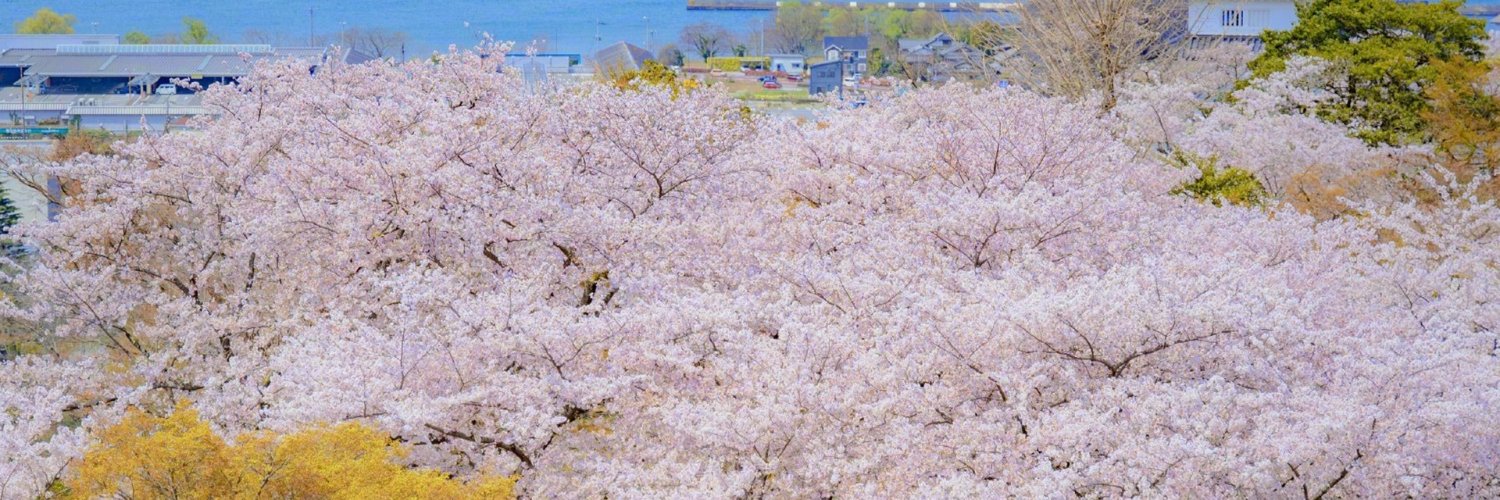 sintya aura lestari banner