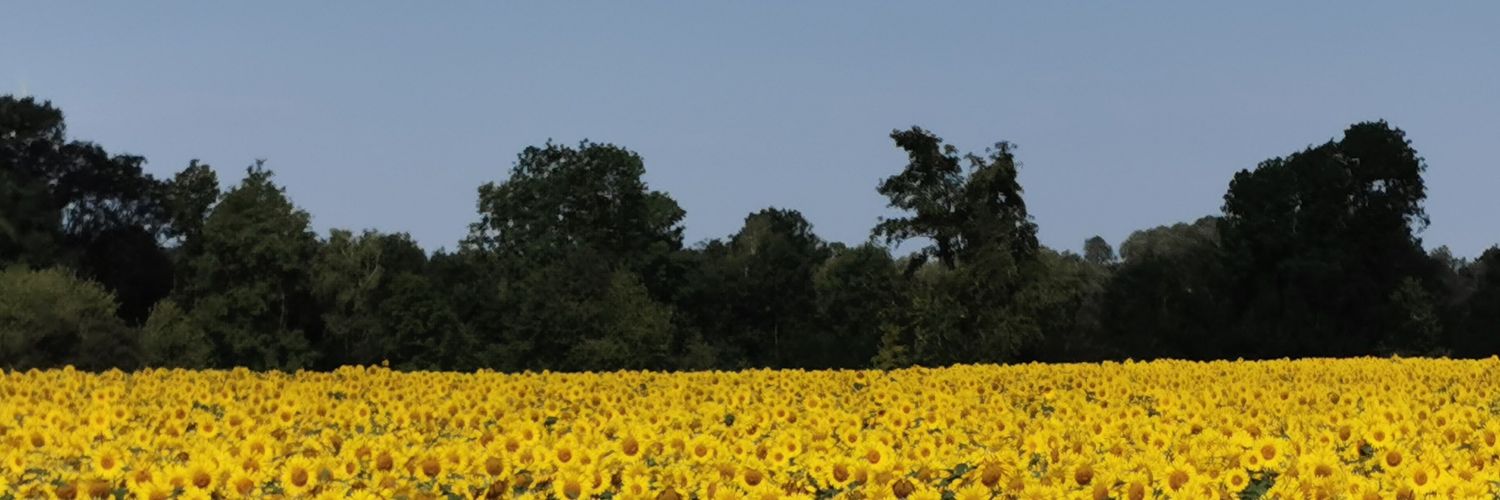DjCatCarson's profile banner image