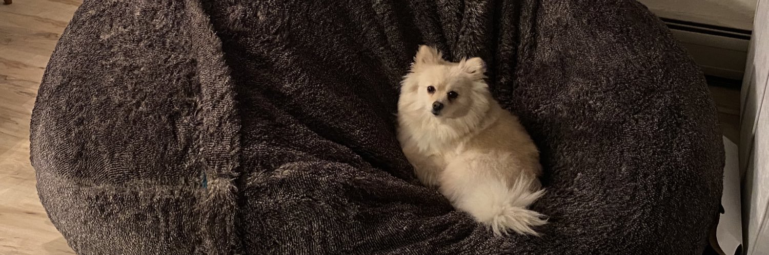 Pocketoli's profile banner image