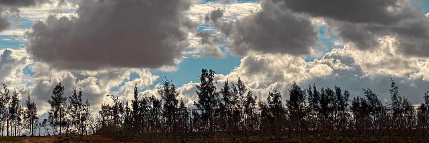 sdeksdeksdeksd1's profile banner image