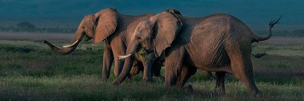 stansyke Profile Banner