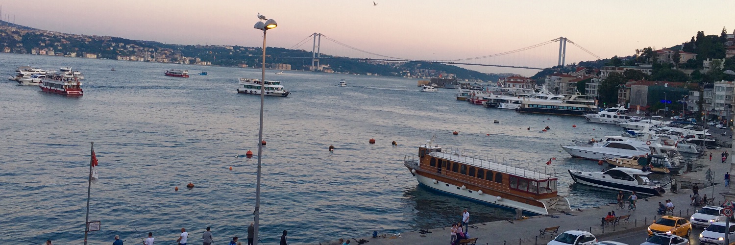 enisebozatli's profile banner image