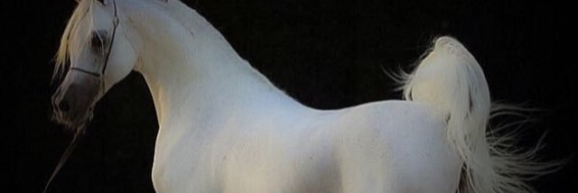 Al_jory_33's profile banner image