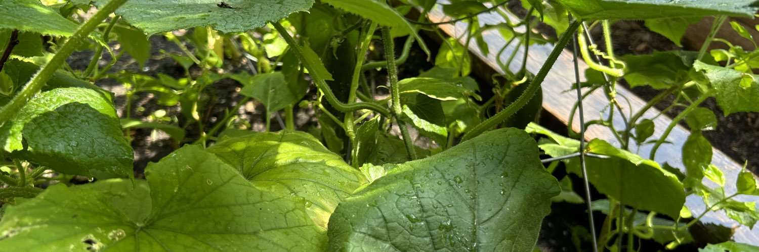 Johnnie Stevens banner