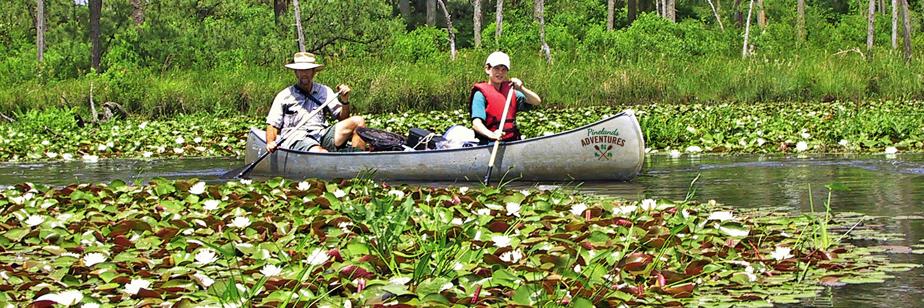PinesAdventures's profile banner image