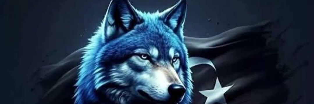 Alpagon06's profile banner image