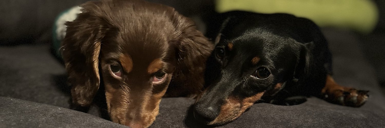 JWBlight_'s profile banner image