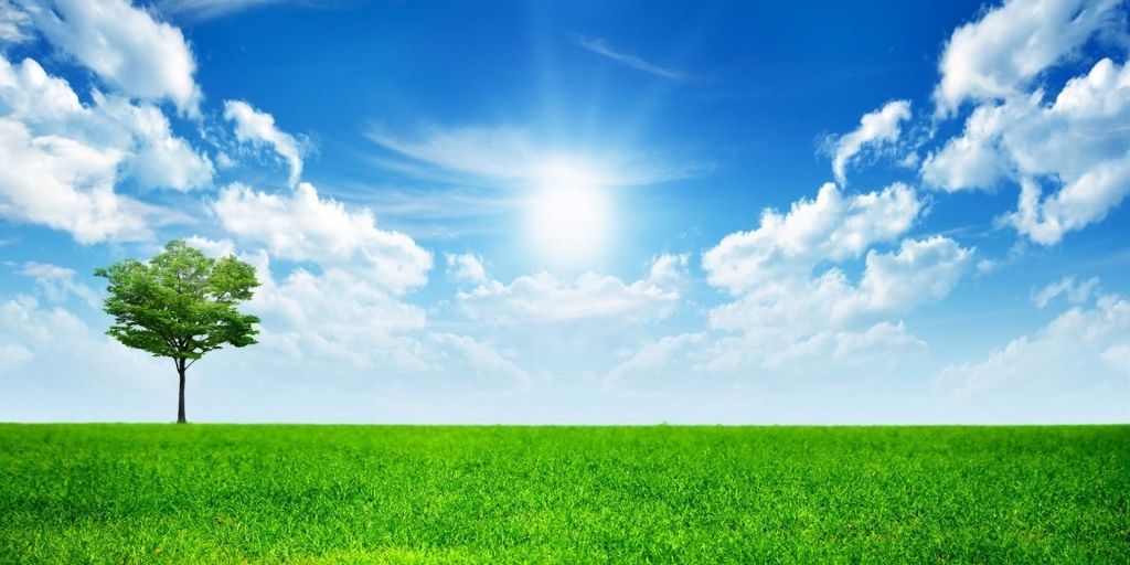 Jessica Zavaleta 🌻's banner