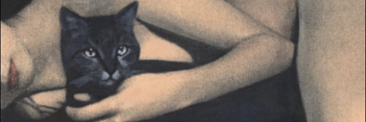 ɑlεх ‎☽𖤓☾ banner