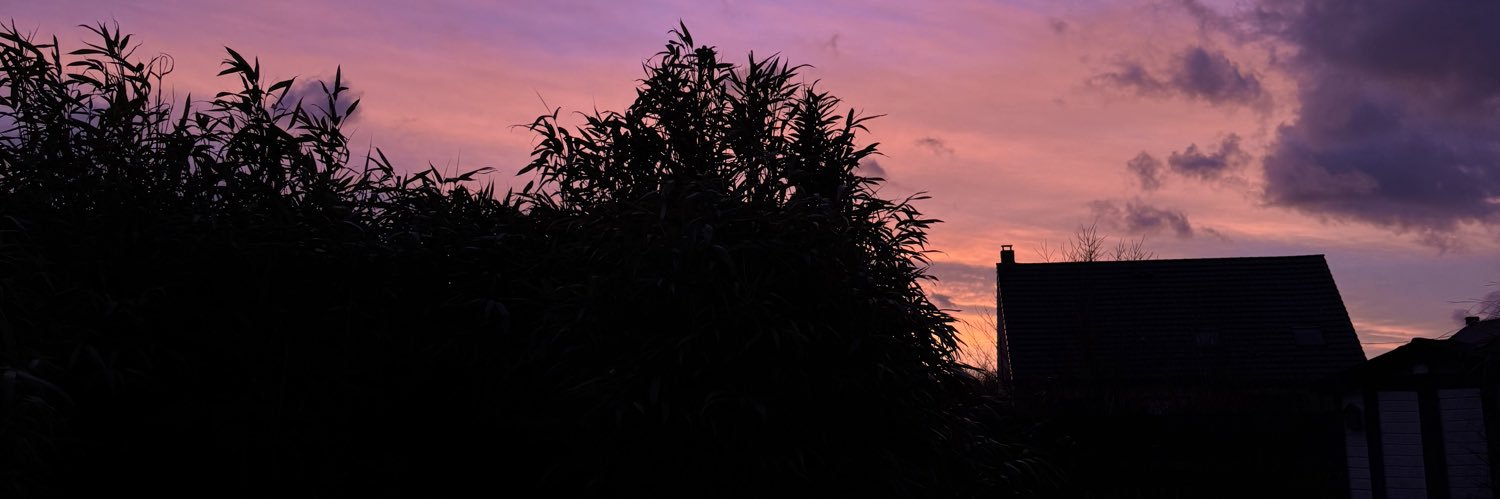 zoebrln's profile banner image