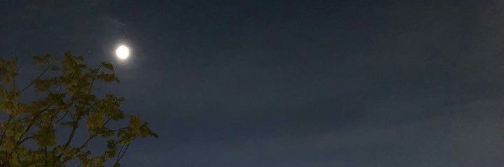 amnahyb's profile banner image