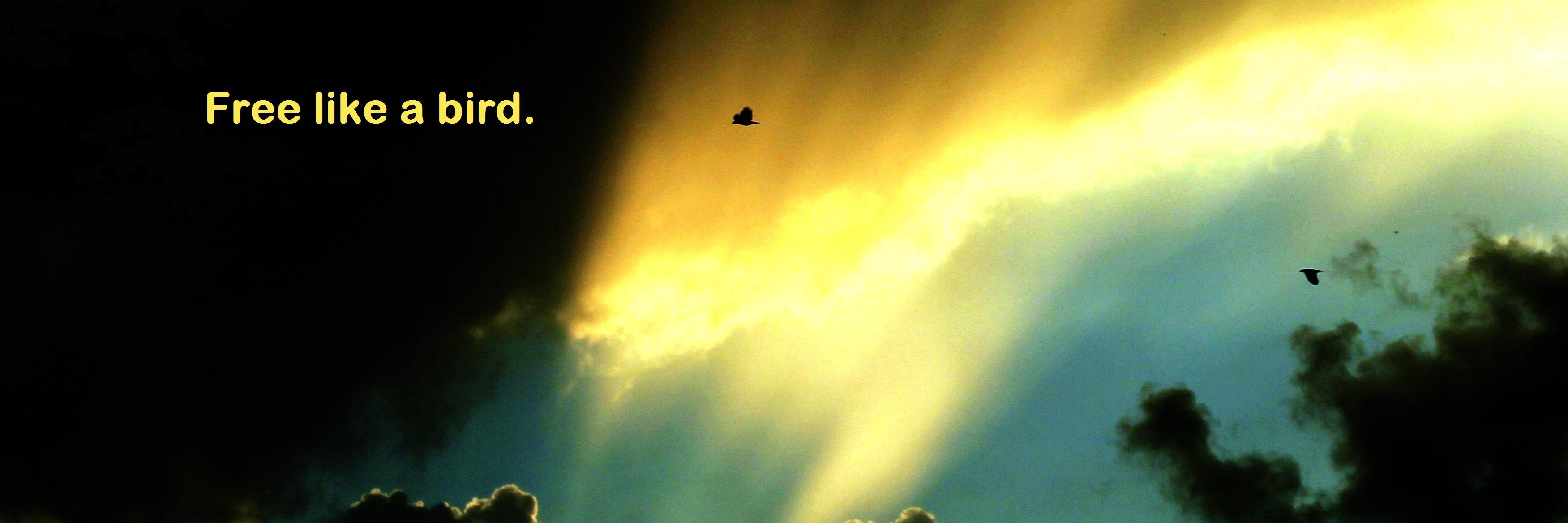 NOKEONE77's profile banner image