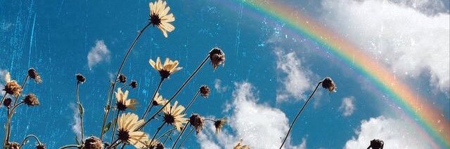 ✻ nada ✻ banner