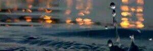 smasm_32's profile banner image