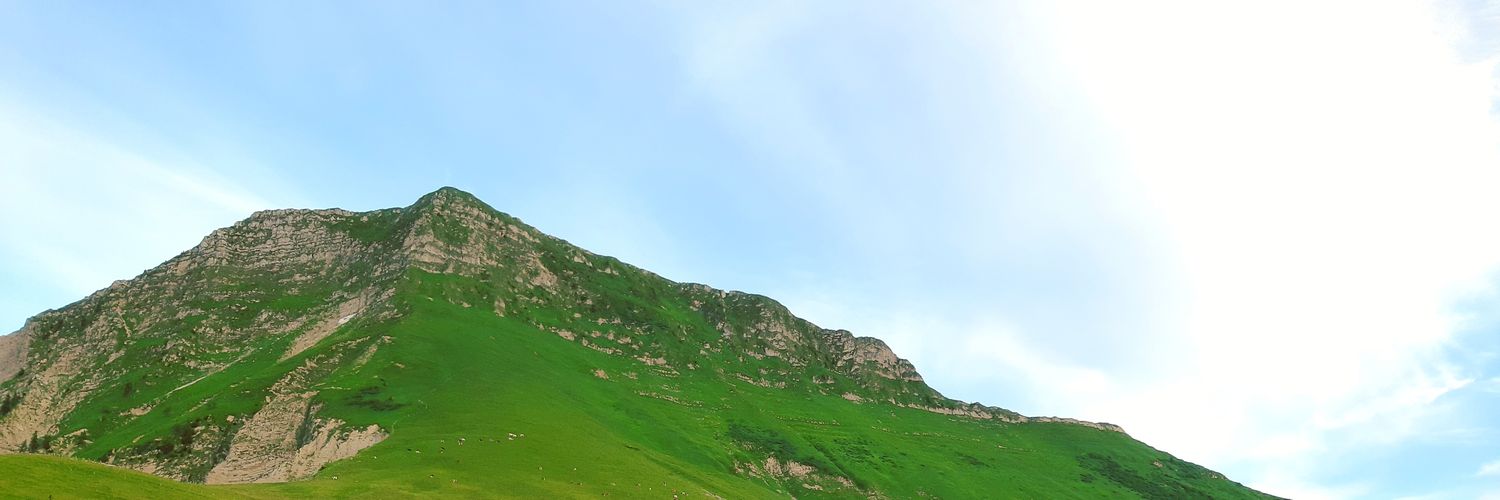 samvd85's profile banner image