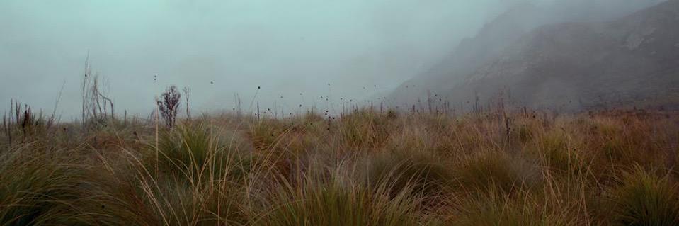 Cristina Castellanos banner