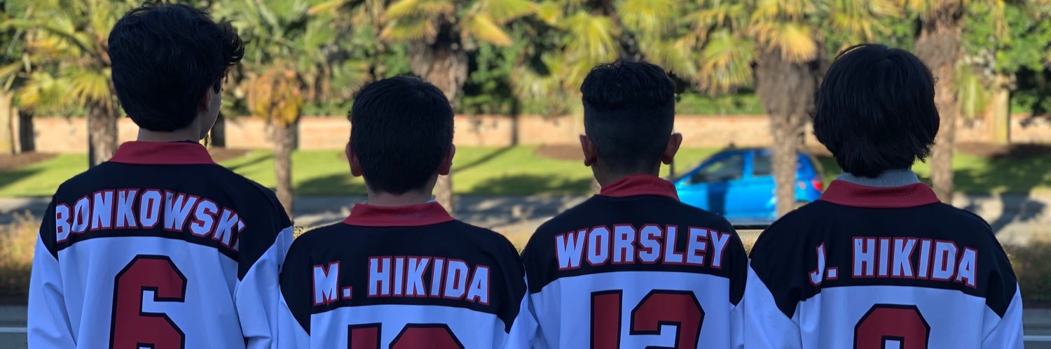 2006 BC Bears banner