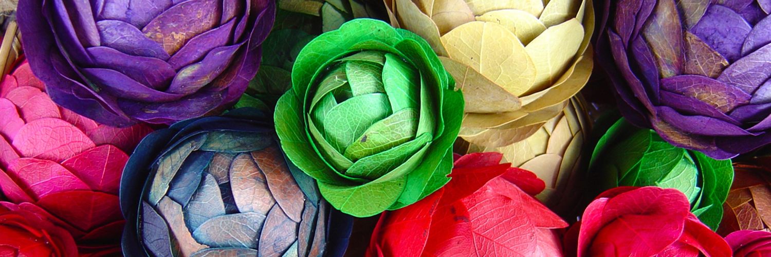 AlshaarBanan's profile banner image