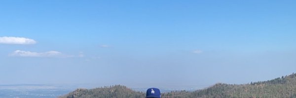 MalletDavid3 Profile Banner