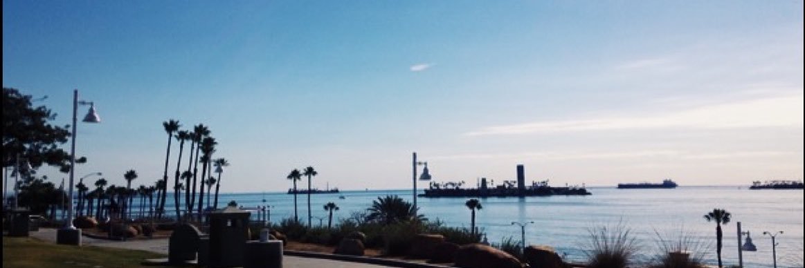 brianapettiway's profile banner image