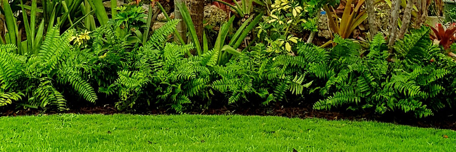 lorettabturner's profile banner image