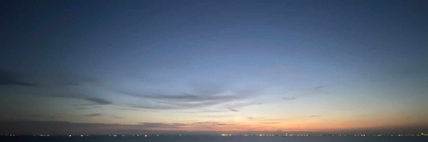 pino banner