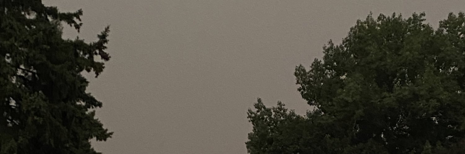 MollyClapp's profile banner image