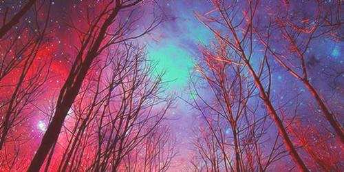 d3dbo97's profile banner image