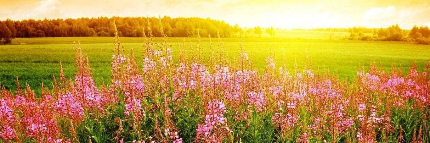 CindyWest1's profile banner image