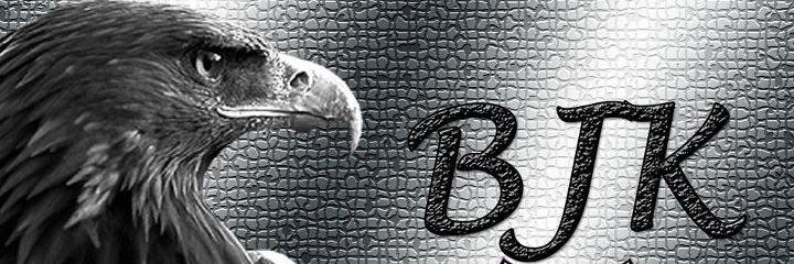 mavimavi2's profile banner image