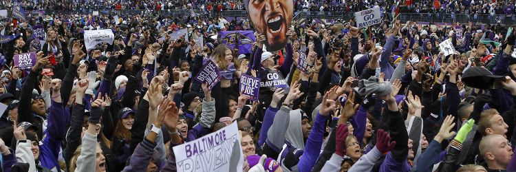 Ravens Fans banner