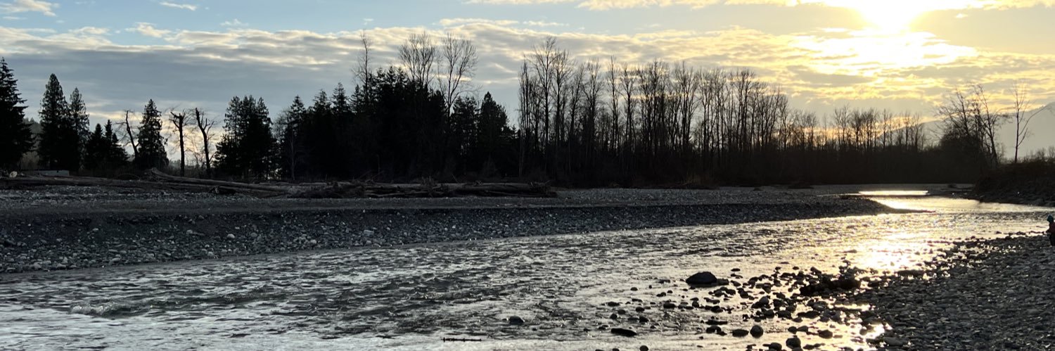 Christine Blessin banner