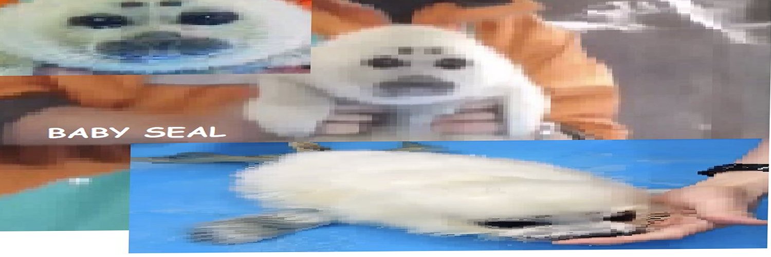 Titanic banner