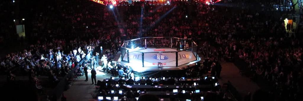 Majority Decision banner