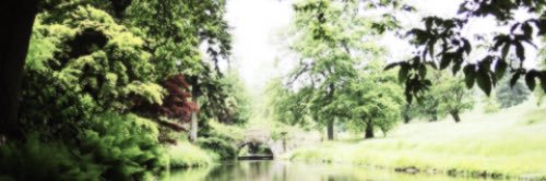 KylaG42's profile banner image