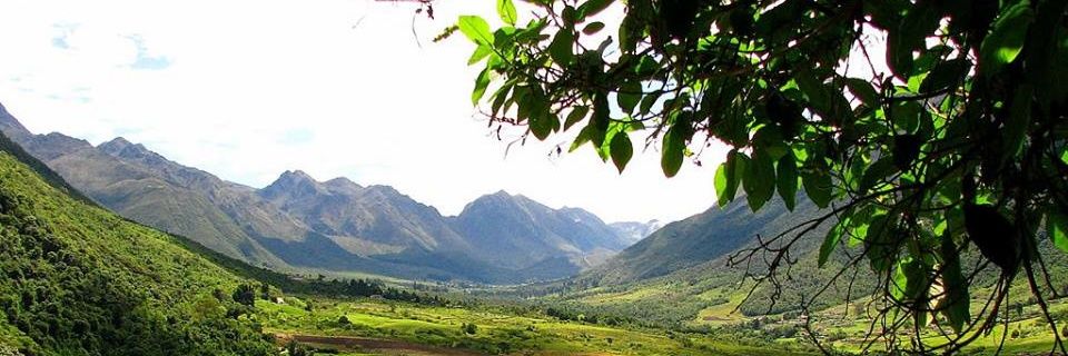 Más Cordialidad banner