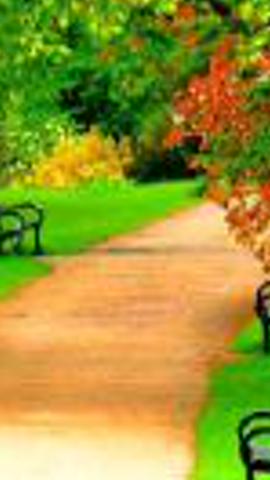 edithgonz1964's profile banner image