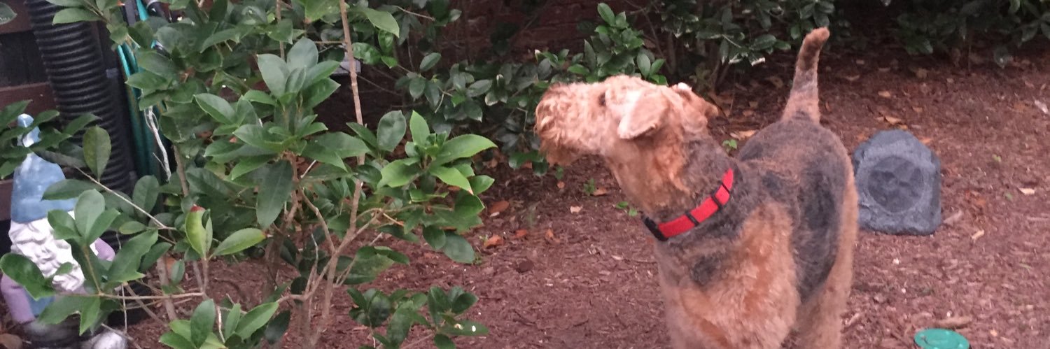 Emily ❤️‍🔥 banner