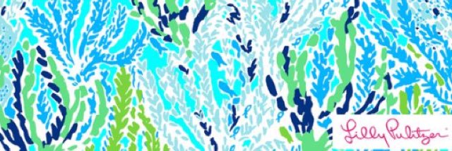 LillysLadies's profile banner image
